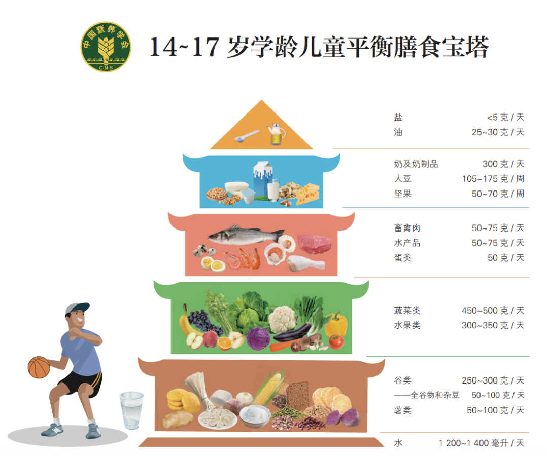 有一种遗憾叫“就差1厘米”,8~14岁孩子请抓住最后长高机会!(图5) 有一种遗憾叫“就差1厘米”,8~14岁孩子请抓住最后长高机会!(图5)