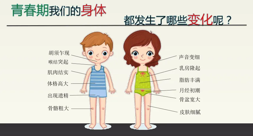 警惕!这些信号预示孩子“停止生长”(图4) 警惕!这些信号预示孩子“停止生长”(图4)