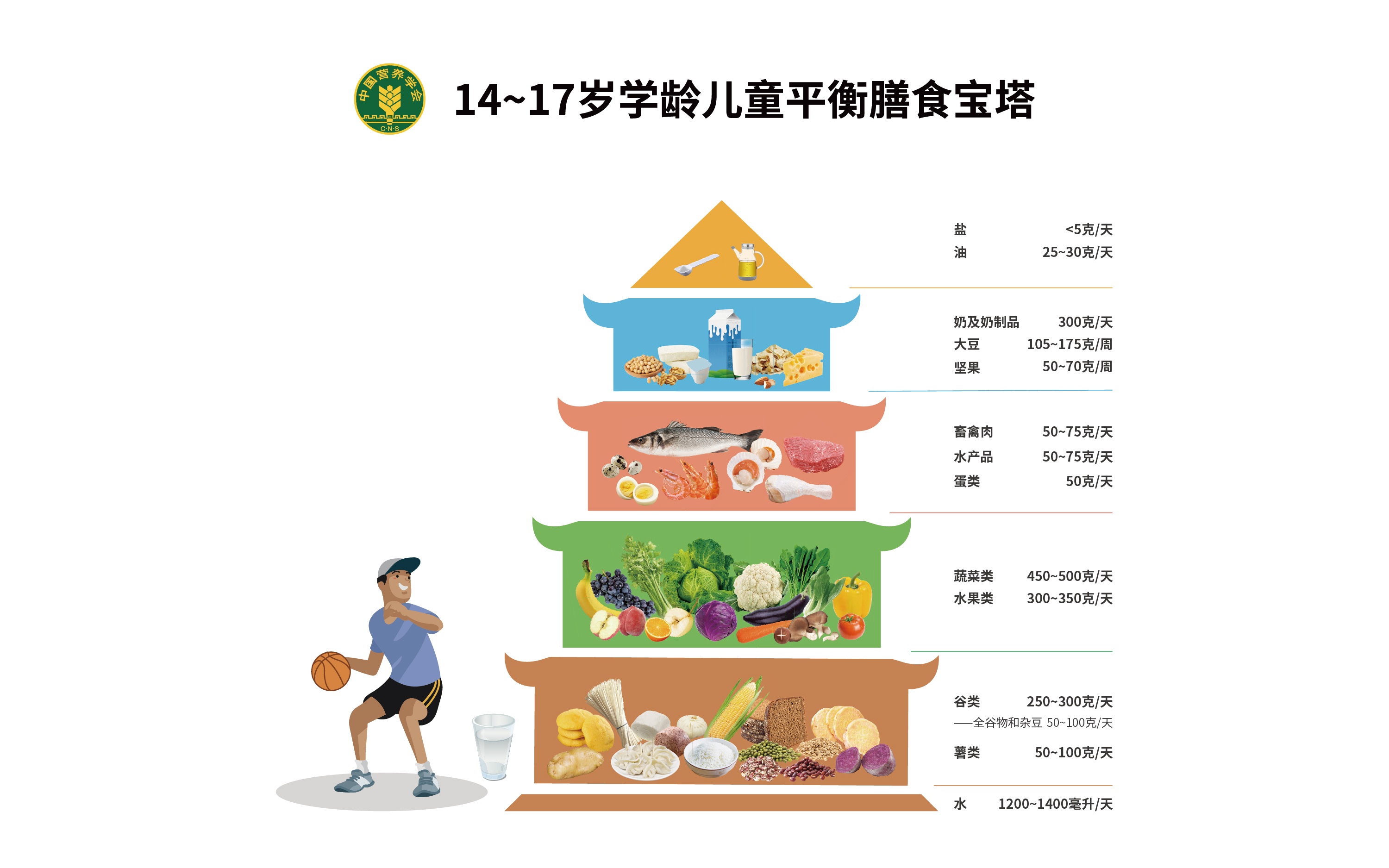 控制骨龄很简单,学会这些技巧孩子有望多长几厘米(图4) 控制骨龄很简单,学会这些技巧孩子有望多长几厘米(图4)